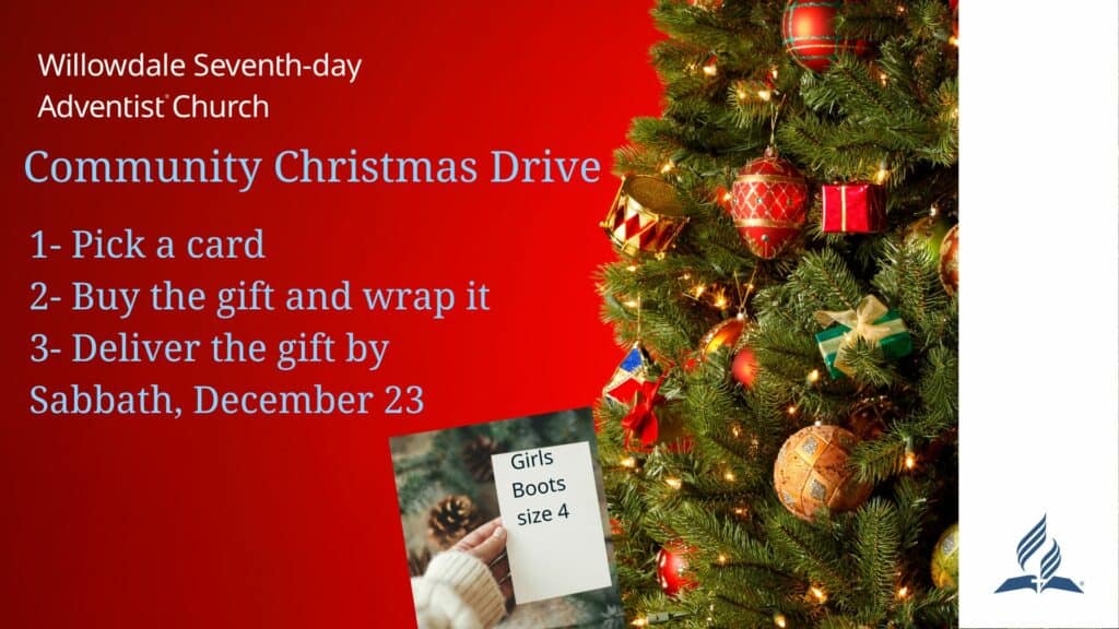 Christmas Drive Instructions